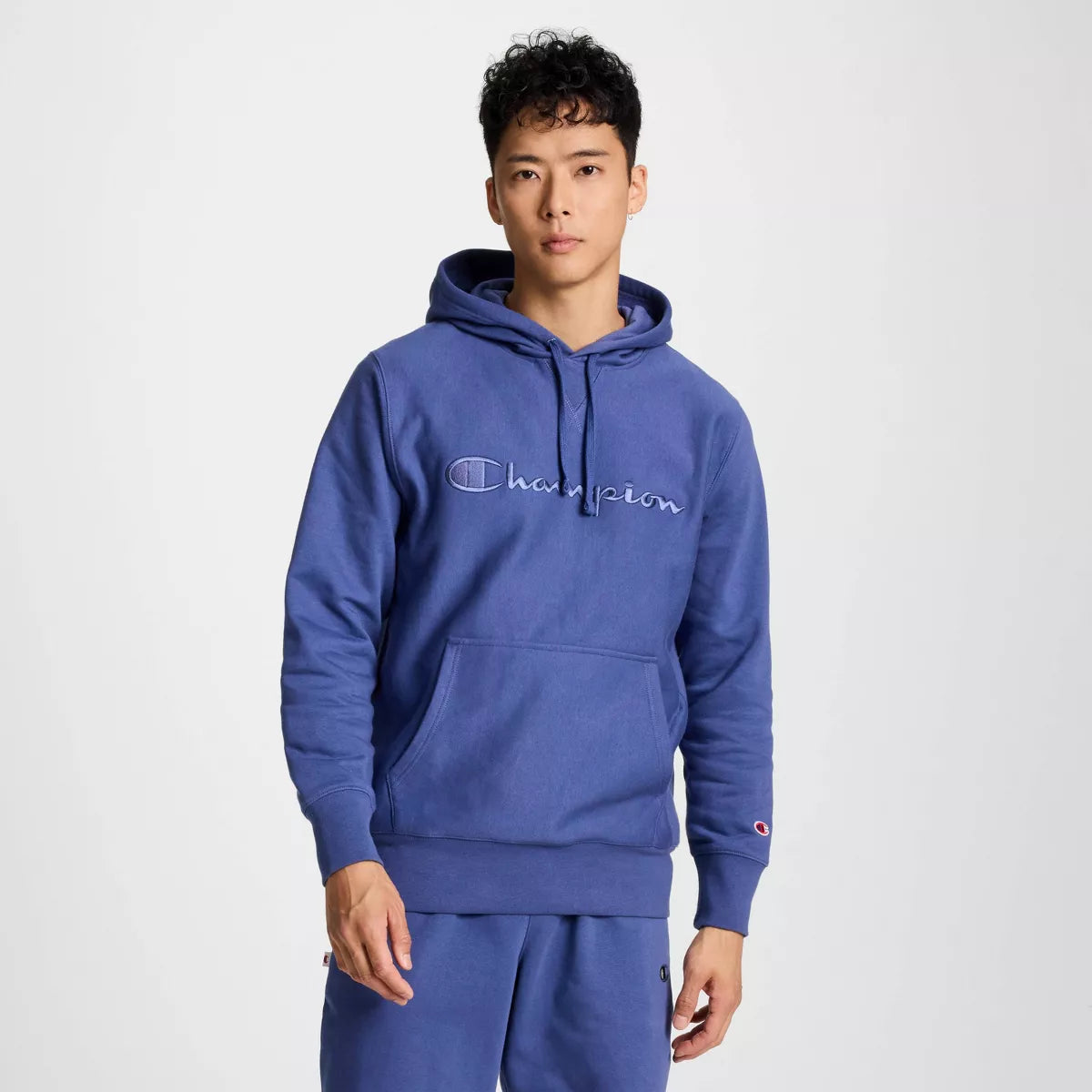 Champion Adult Sizing Iconic Embroidered Hoodie