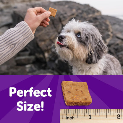 Rewarding Life Dog Treats, Training Treat, Grain Free, Soft Turkey & Duck (6 Ounce Bag)