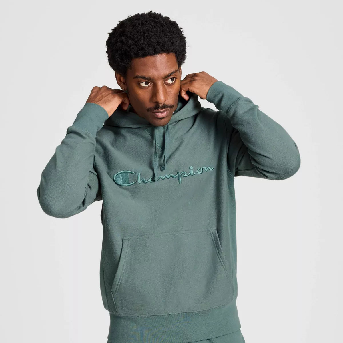 Champion Adult Sizing Iconic Embroidered Hoodie